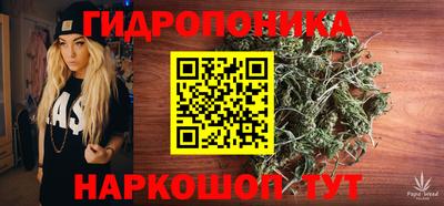 Альфа ПВП Новозыбков