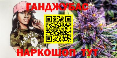 скорость Новодвинск